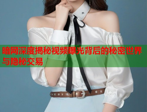 暗网深度揭秘视频曝光背后的秘密世界与隐秘交易  第2张