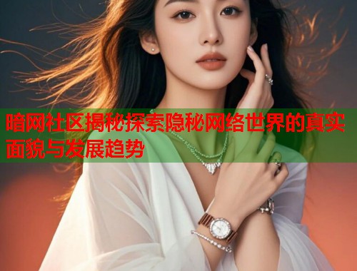 暗网社区揭秘探索隐秘网络世界的真实面貌与发展趋势  第1张