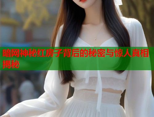 暗网神秘红房子背后的秘密与惊人真相揭秘  第1张
