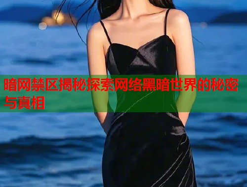暗网禁区揭秘探索网络黑暗世界的秘密与真相  第1张