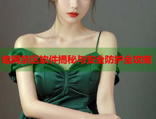 暗网禁区软件揭秘与安全防护全攻略  第2张