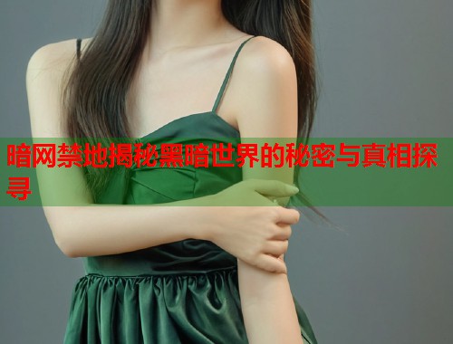 暗网禁地揭秘黑暗世界的秘密与真相探寻  第2张
