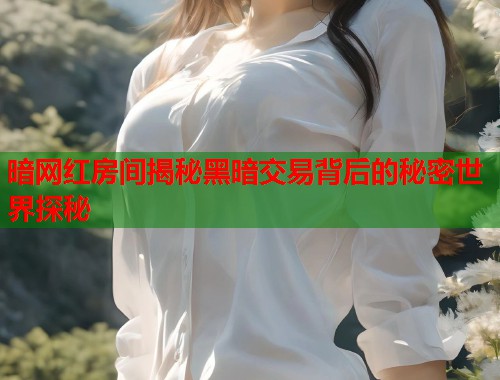 暗网红房间揭秘黑暗交易背后的秘密世界探秘  第2张