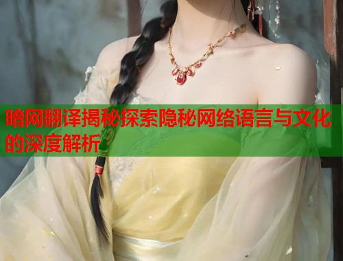 暗网翻译揭秘探索隐秘网络语言与文化的深度解析  第1张