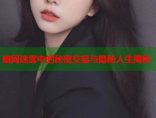 暗网迷雾中的秘密交易与隐秘人生揭秘  第2张