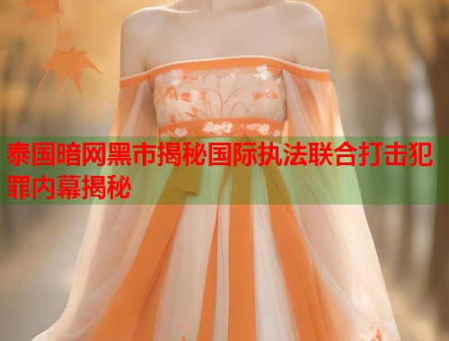 泰国暗网黑市揭秘国际执法联合打击犯罪内幕揭秘  第1张