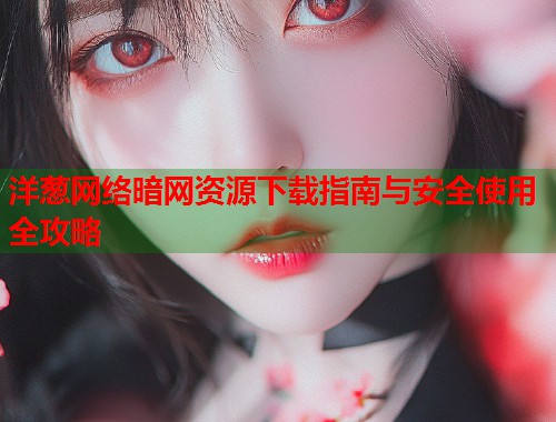 洋葱网络暗网资源下载指南与安全使用全攻略  第1张