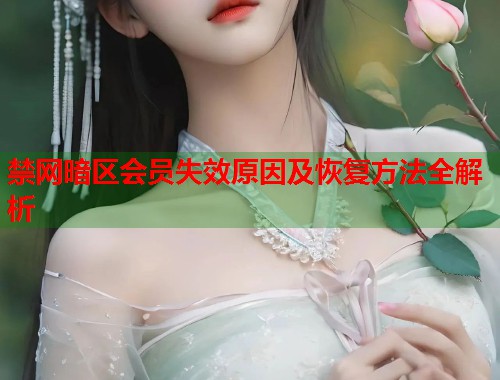 禁网暗区会员失效原因及恢复方法全解析  第1张