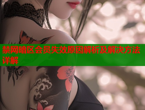 禁网暗区会员失效原因解析及解决方法详解  第2张