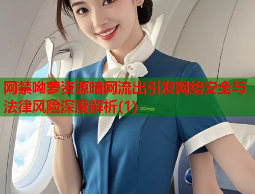 网禁呦萝资源暗网流出引发网络安全与法律风险深度解析(1)  第1张