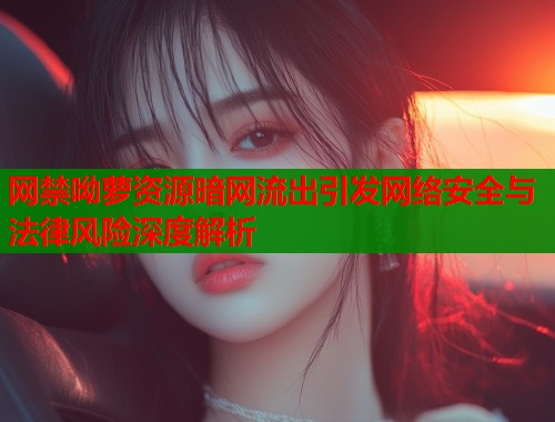 网禁呦萝资源暗网流出引发网络安全与法律风险深度解析  第1张