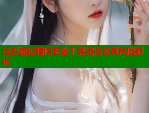 能否通过暗网安全下载资源及其风险解析  第2张