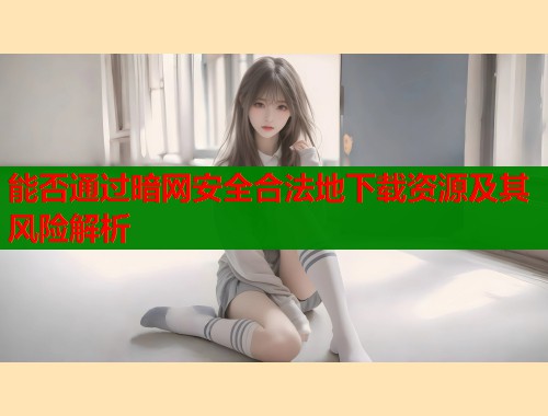能否通过暗网安全合法地下载资源及其风险解析  第1张