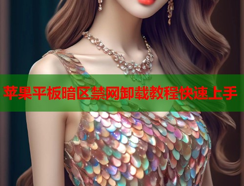 苹果平板暗区禁网卸载教程快速上手  第1张