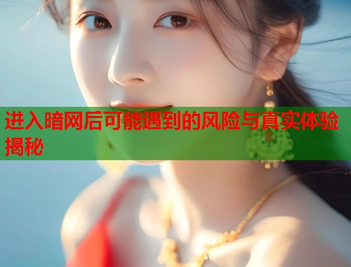 进入暗网后可能遇到的风险与真实体验揭秘  第1张