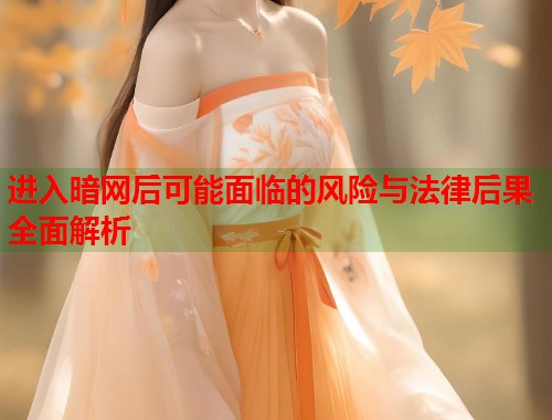 进入暗网后可能面临的风险与法律后果全面解析  第2张