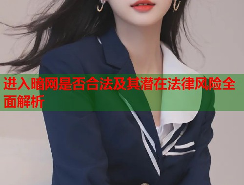进入暗网是否合法及其潜在法律风险全面解析  第2张