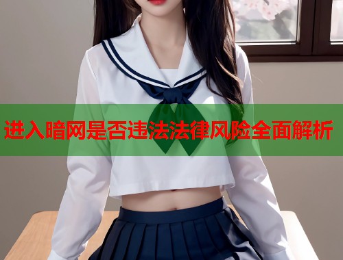 进入暗网是否违法法律风险全面解析  第1张