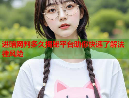 进暗网判多久揭秘平台助你快速了解法律风险  第1张